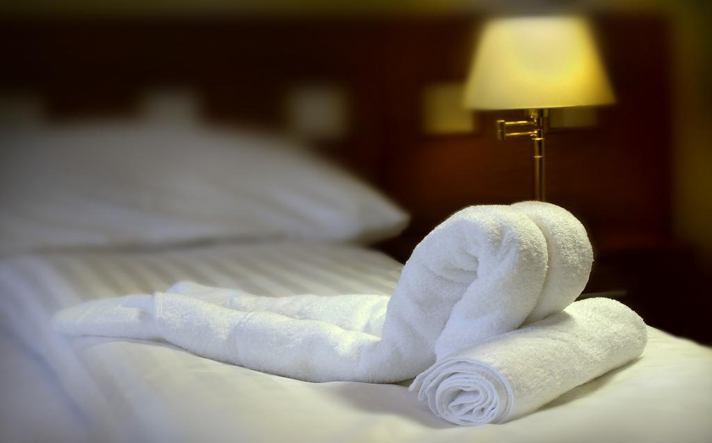 Pod Zeleným Dubem Hotel 3*